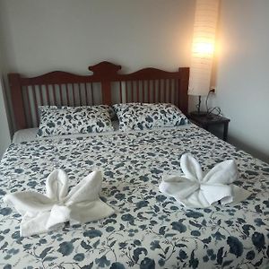 Superior Kamer met een King Size Bed